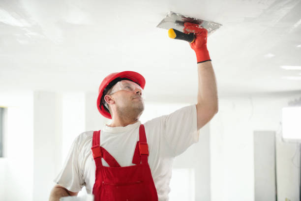 Professional Drywall & Painting Services in Cascade Locks, OR